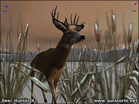 Deer Hunter 4