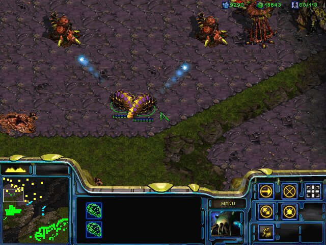 StarCraft Broodwar