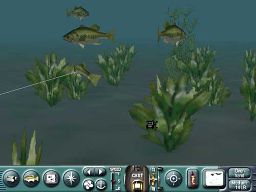 Trophy Bass 4