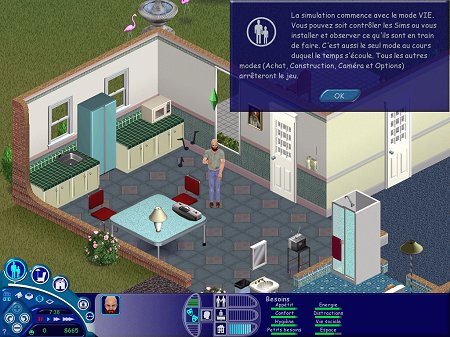 The Sims